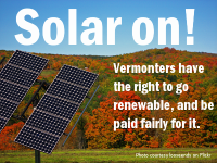 solar_foliage courtesy looseends-right to renewable