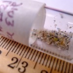 Bill to Ban Microbeads Passes House Fish and Wildlife Unanimously