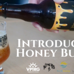 Introducing Honey Bunch