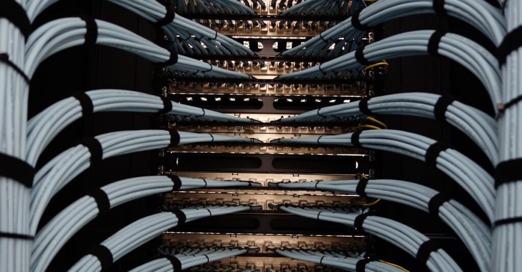 Organized network server cables for efficient data management.